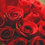 Love & Anniversary