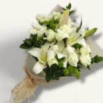 Soft White